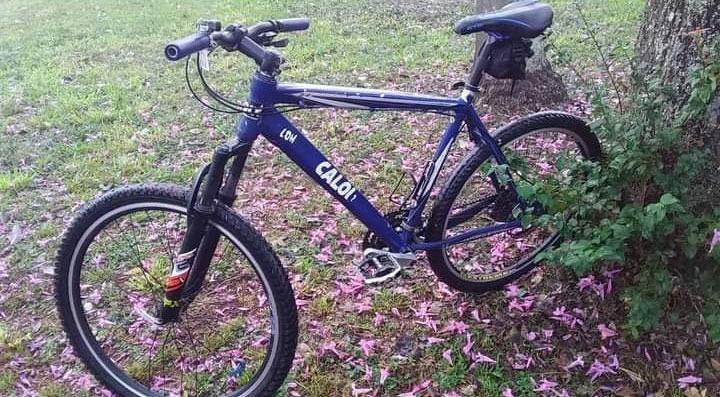 Divulgação - Bicicleta da marca Caloi foi furtada no Centro de Assis - Foto: Divulgação