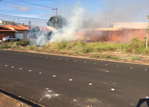 Divulgação - Infração pode acarretar multa de 52 UFESPs  (R$1.662,44) - Foto: Divulgação