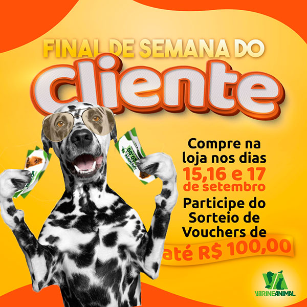 divulgação divulgação