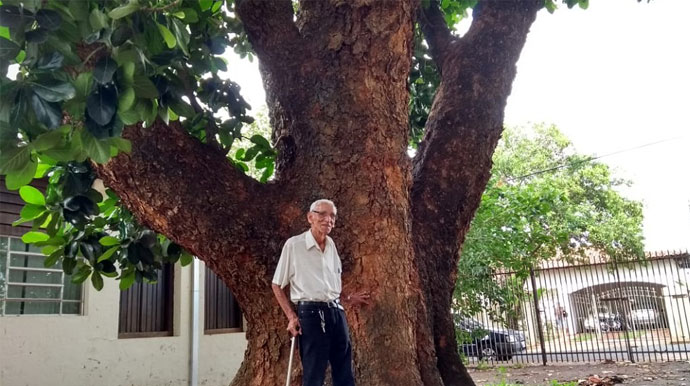 AssisCity - Em 2019, Mosenhor Floriano, visitou a árvore na Casa de Taipa que fica no centro de Assis - Foto: AssisCity