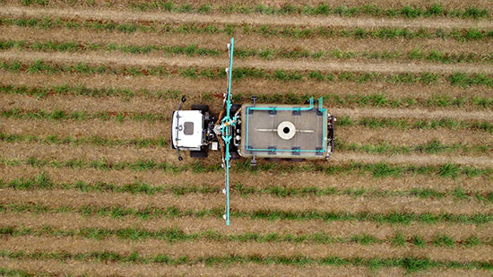 Divulgação - Foto: Divulgação NovAmérica Divulgação - Foto: Divulgação NovAmérica