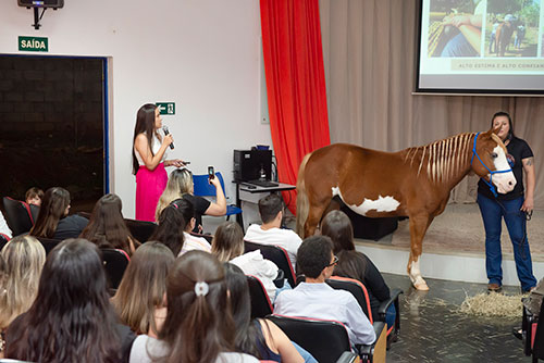 Divulgação - fisioterapeuta Bruna Alves e pela equitadora Mariane Silvério - Foto: Divulgação