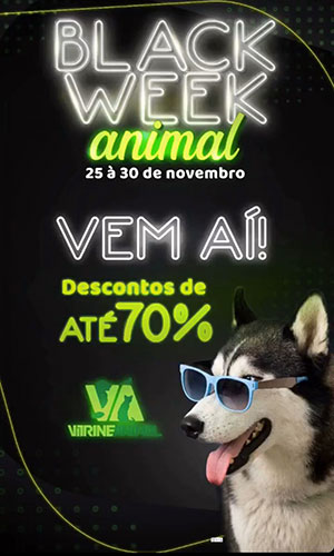 Divulgação - Vitrine Animal - Foto: Divulgação Divulgação - Vitrine Animal - Foto: Divulgação