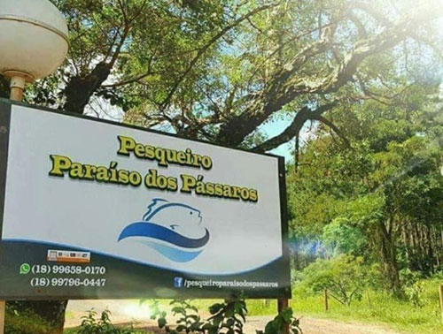 Divulgação - O pesqueiro fica localizado no Cervinho / sentido Paraguaçu Paulista - Foto: Divulgação