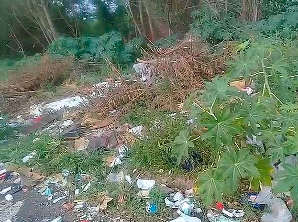 Divulgação - Lixo descartado de forma irregular no Parque Colinas - Foto: Divulgação Divulgação - Lixo descartado de forma irregular no Parque Colinas - Foto: Divulgação