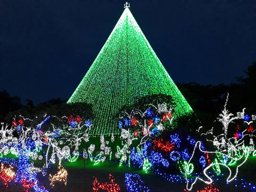 divulgação - Iluminação natalina da Casa Di Conti em Cândido Mota - Foto: Divulgação divulgação - Iluminação natalina da Casa Di Conti em Cândido Mota - Foto: Divulgação