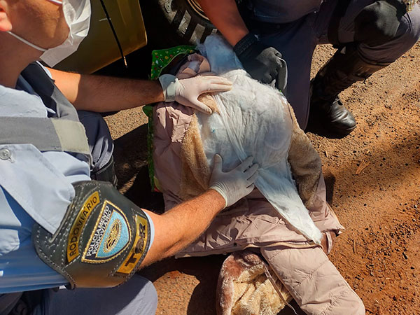 divulgação - Polícia apreendeu drogas em fundo falso de roupas - Foto: Divulgação