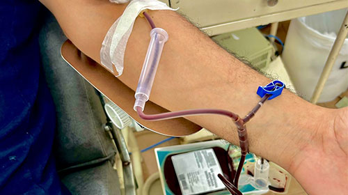 Divulgação - Doe sangue - Foto: AssisCity