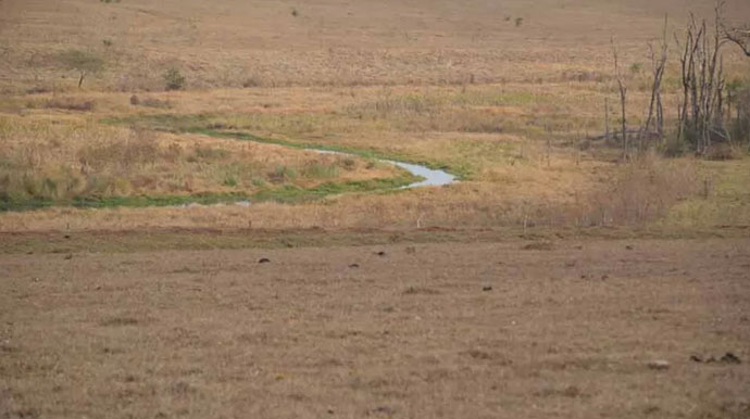 divulgação - Crime aconteceu em uma propriedade rural em Paraguaçu Paulista — Foto: I7 Notícias/ Divulgação divulgação - Crime aconteceu em uma propriedade rural em Paraguaçu Paulista — Foto: I7 Notícias/ Divulgação