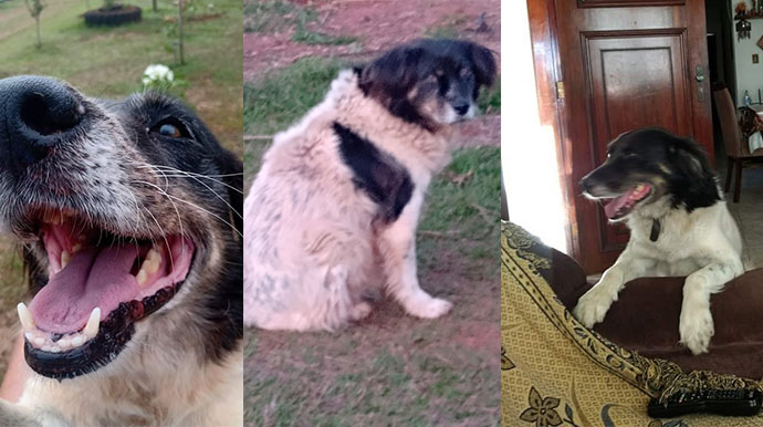 Divulgação - Máscara tem 10 anos e tem problemas de visão - Foto: Divulgação Divulgação - Máscara tem 10 anos e tem problemas de visão - Foto: Divulgação