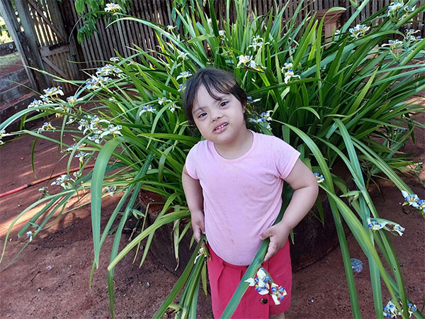 Divulgação - Jamilly Nicole de Brito, 5 anos - Foto: Divulgação