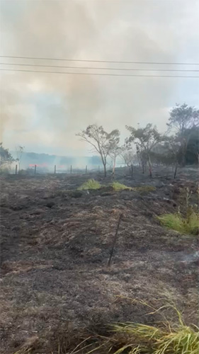 Reprodução - Cerca de 20 mil metros quadrados de vegetação foram queimados - Foto: Reprodução