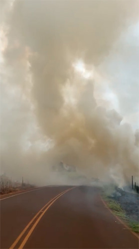 Reprodução - A fumaça se alastrou para a pista fazendo o trânsito ficar parcialmente parado - Foto: Reprodução